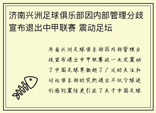 济南兴洲足球俱乐部因内部管理分歧宣布退出中甲联赛 震动足坛